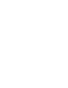 ideaFlow logo